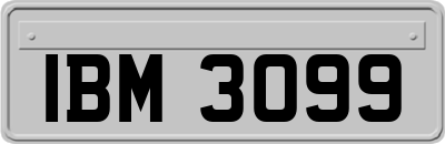 IBM3099