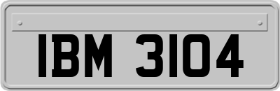 IBM3104