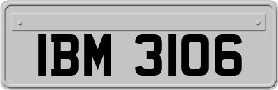 IBM3106