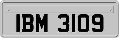 IBM3109