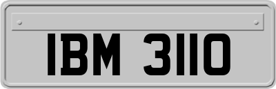 IBM3110