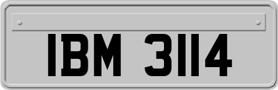 IBM3114