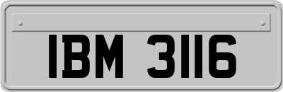 IBM3116