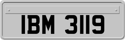 IBM3119