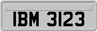 IBM3123