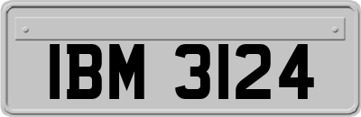 IBM3124