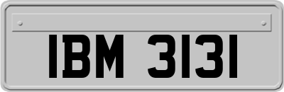 IBM3131