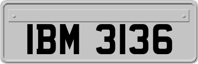 IBM3136