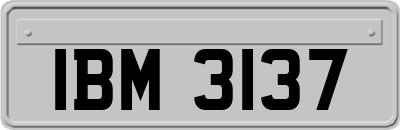 IBM3137