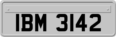 IBM3142