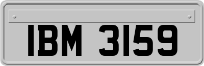 IBM3159