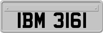 IBM3161