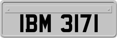 IBM3171