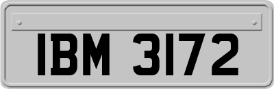 IBM3172