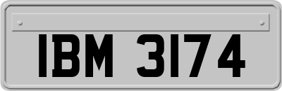 IBM3174