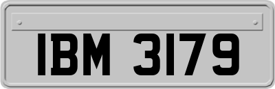 IBM3179