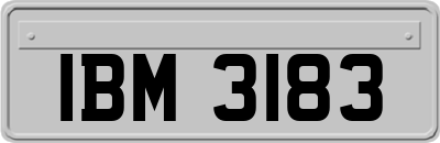 IBM3183