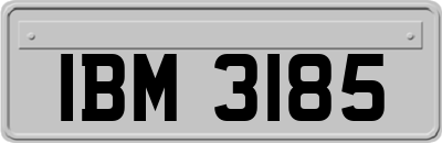 IBM3185