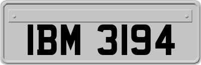 IBM3194