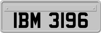 IBM3196