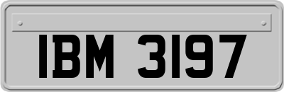 IBM3197