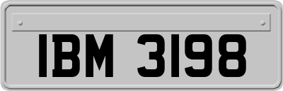 IBM3198