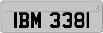 IBM3381