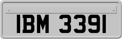 IBM3391