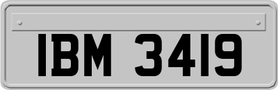 IBM3419