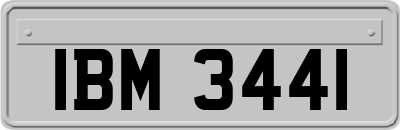 IBM3441