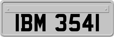 IBM3541