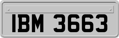 IBM3663