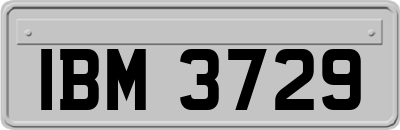 IBM3729