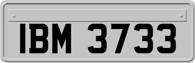 IBM3733