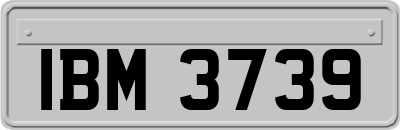 IBM3739