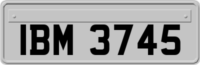 IBM3745