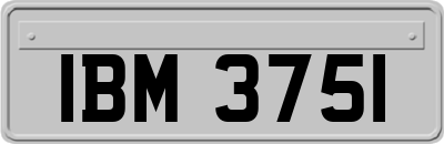 IBM3751