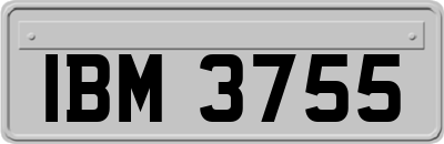 IBM3755