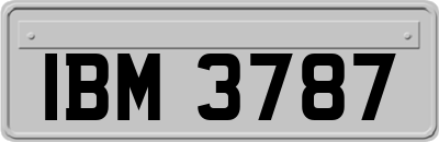 IBM3787