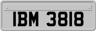 IBM3818