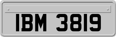 IBM3819