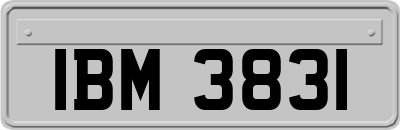 IBM3831