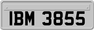 IBM3855