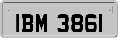 IBM3861