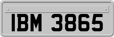 IBM3865