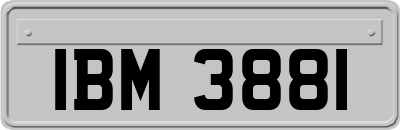 IBM3881