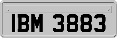 IBM3883