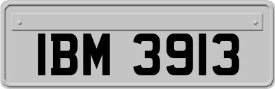 IBM3913