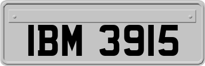 IBM3915