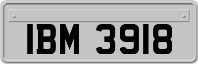 IBM3918